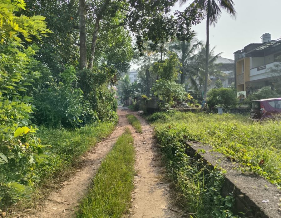 WhatsApp Image 2024-03-12 at 8.23.58 PM (1)