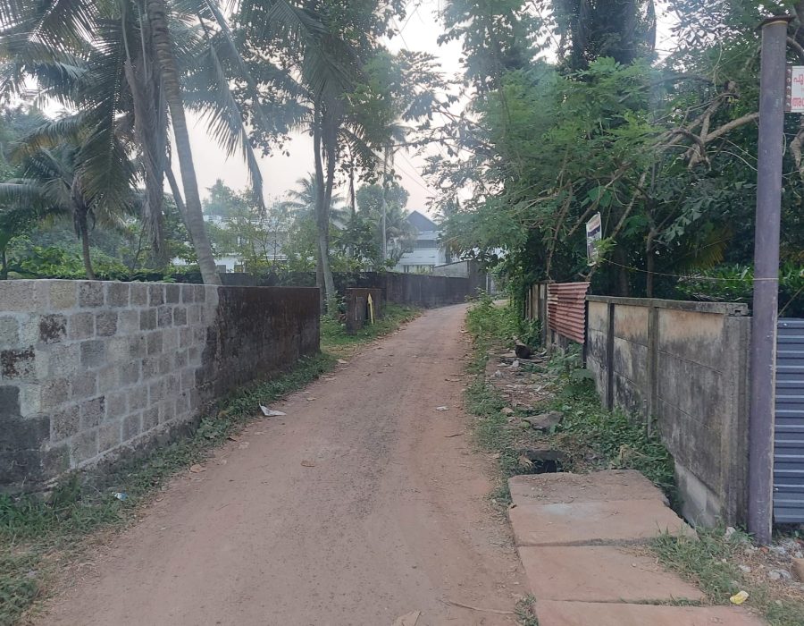 WhatsApp Image 2024-03-12 at 8.37.14 PM (1)