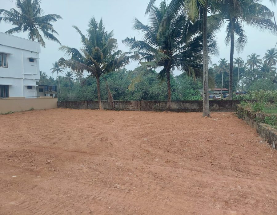 WhatsApp Image 2024-03-12 at 8.37.15 PM (1)